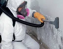 Best Mold Documentation for Insurance Claims  in New Philadelphia, OH